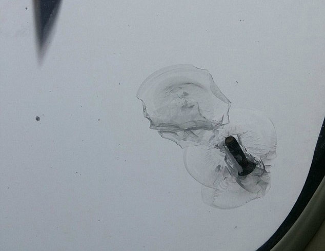 Dinh vit canh quat roi trung cua so may bay hinh anh