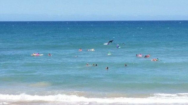 Ca map vot len gan van dong vien luot song hinh anh