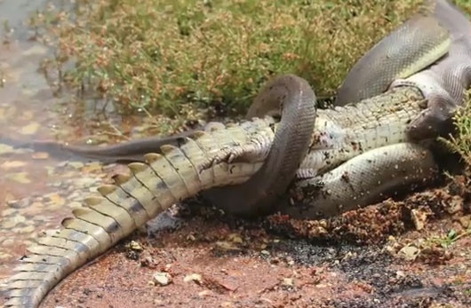 Tran ha guc ‘sat thu dam lay’ sau 5 gio chien dau hinh anh