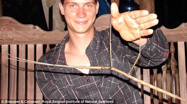 Phat hien bo que dai thu 2 tren the gioi tai Viet Nam hinh anh