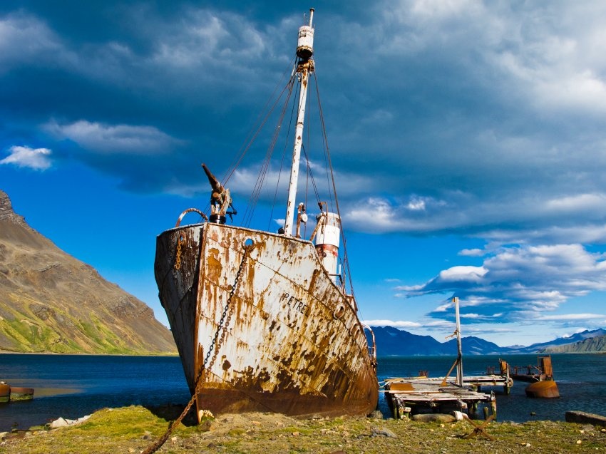 Tram che bien ca voi o Nam Cuc tro thanh vung dat ma hinh anh