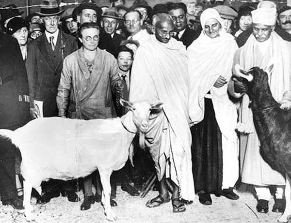 Con de va chinh tri hinh anh