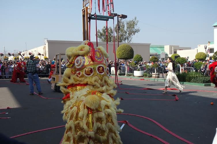 Nguoi Viet tai My xem mua lan ngay mung 1 Tet hinh anh