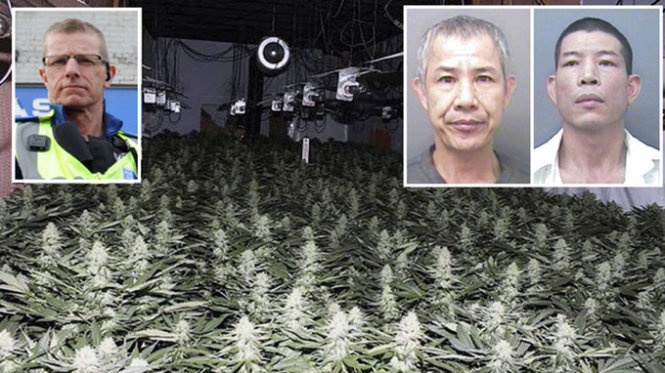 Cuu nguoi Viet trong can sa o Anh hinh anh