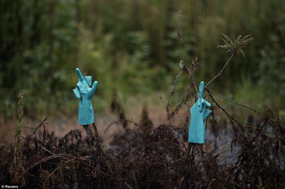Bong ma phong xa o Fukushima sau song than Nhat Ban hinh anh