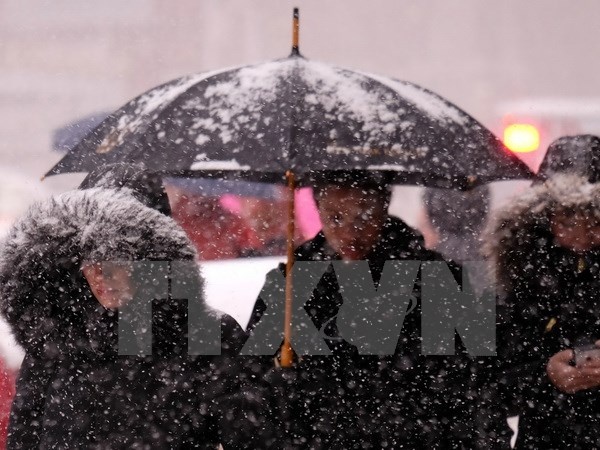 Hon 1.150 chuyen bay bi huy sau khi bao tuyet do bo hinh anh