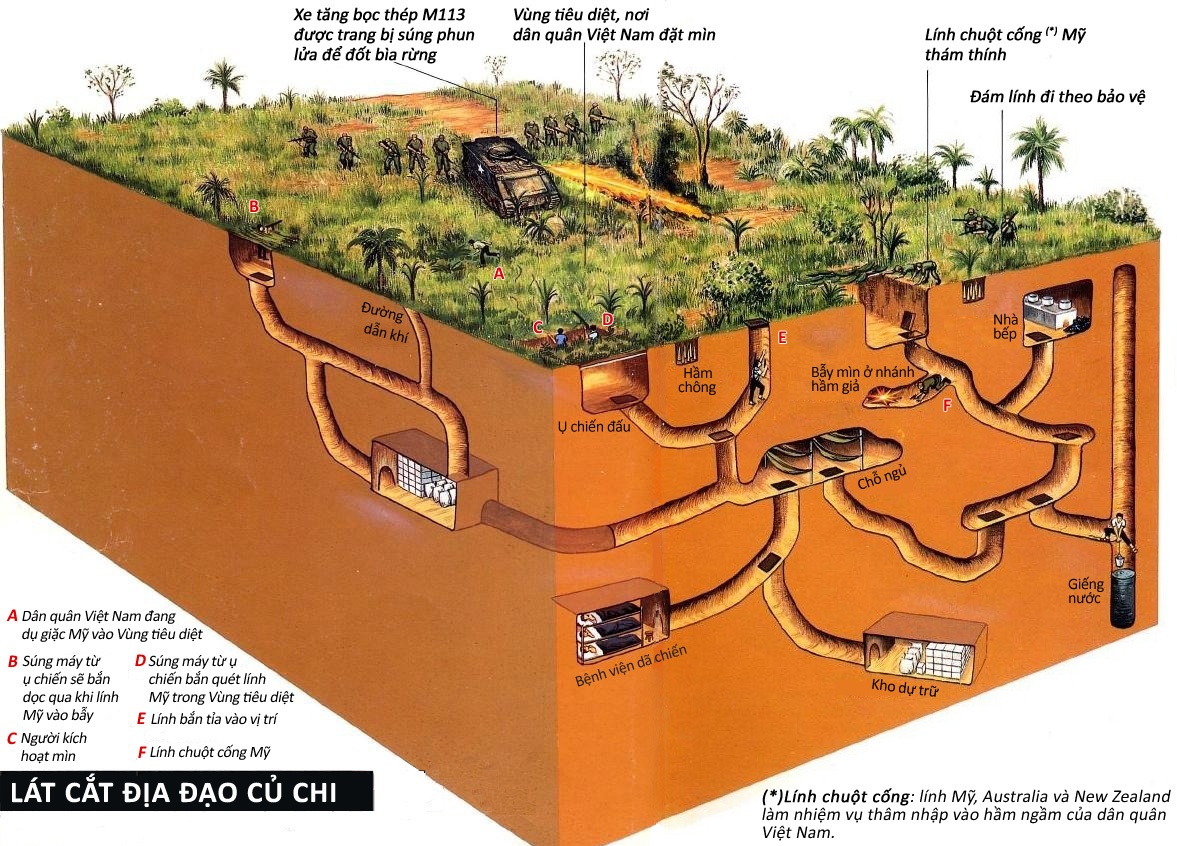 Dia dao Cu Chi tren bao nuoc ngoai hinh anh