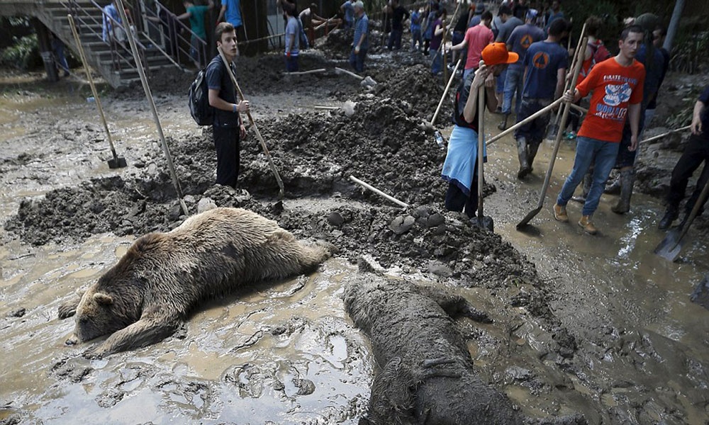 Gruzia chon tap the thu du song chuong sau mua dong hinh anh