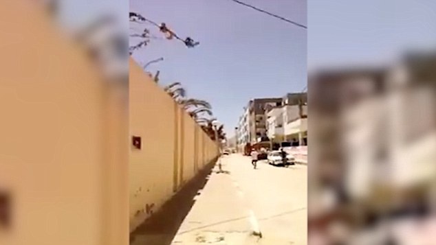 Nhung khoanh khac cuoi cua sat thu Tunisia hinh anh