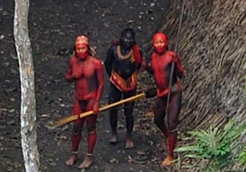 Anh an tuong ve rung nhiet doi rong nhat the gioi hinh anh