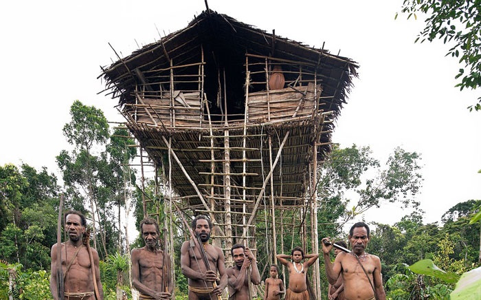 Cuoc song tren cay cua bo toc tung an thit nguoi hinh anh