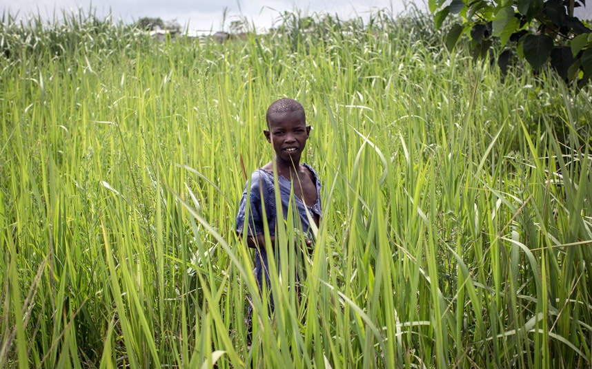 Cộng hòa Trung Phi: Quốc gia nghèo ở Tây Phi vẫn đối mặt với việc mâu thuẫn tôn giáo, thiếu lương thực và nước sạch cho người dân.  Hồi tháng 1, Bộ trưởng Thanh niên và Thể thao của Trung Phi bị bắt cóc. Nhiều thành viên tổ chức nhân đạo đến Cộng hòa Trung Phi cũng chịu chung số phận. 