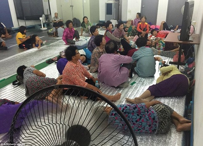 Canh dan tru an trong ham gan bien gioi Han - Trieu hinh anh