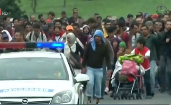 Nguoi ti nan giup ich gi cho chau Au? hinh anh