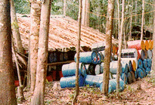 Nha may che xuat ma tuy trong rung cua ong trum Colombia hinh anh