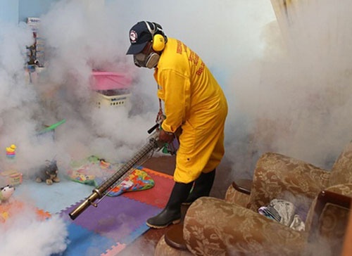 Chau My phong chong virus gay teo nao Zika hinh anh