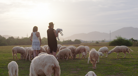 MV Bo lai the gioi hinh anh