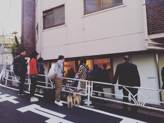 cua hang chi ban ao phong trang anh 8