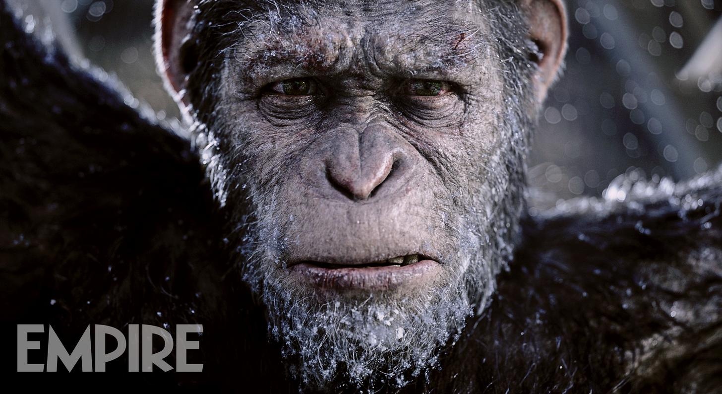 War of the Planet of the Apes ảnh 2 War of the Planet of the Apes anh 2