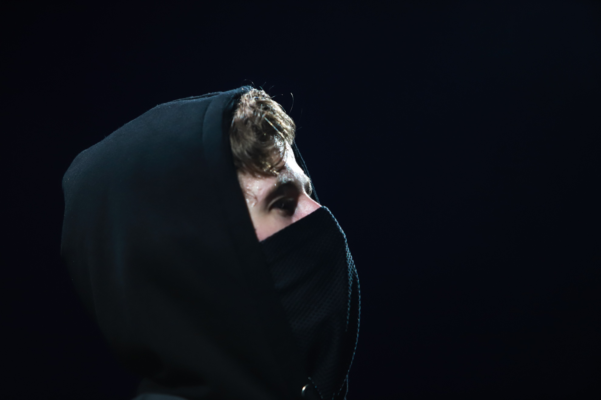 Alan Walker tai Viet Nam hinh anh