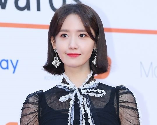 Cac my nhan Han Quoc khoe sac tai tham do Asian Artist Awards 2017 hinh anh