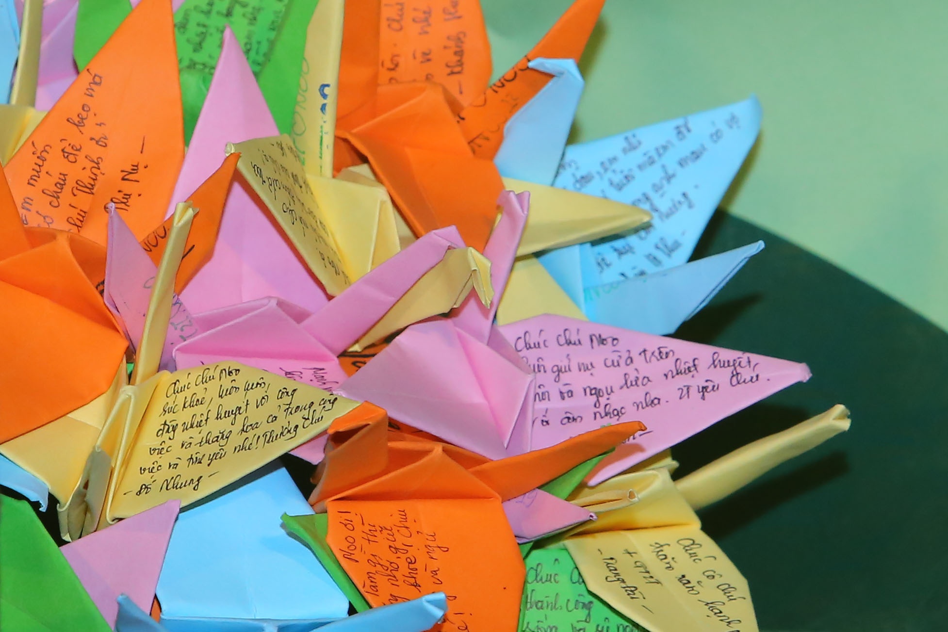 fan ngat xiu trong dem nhac Noo Phuoc Thinh anh 12