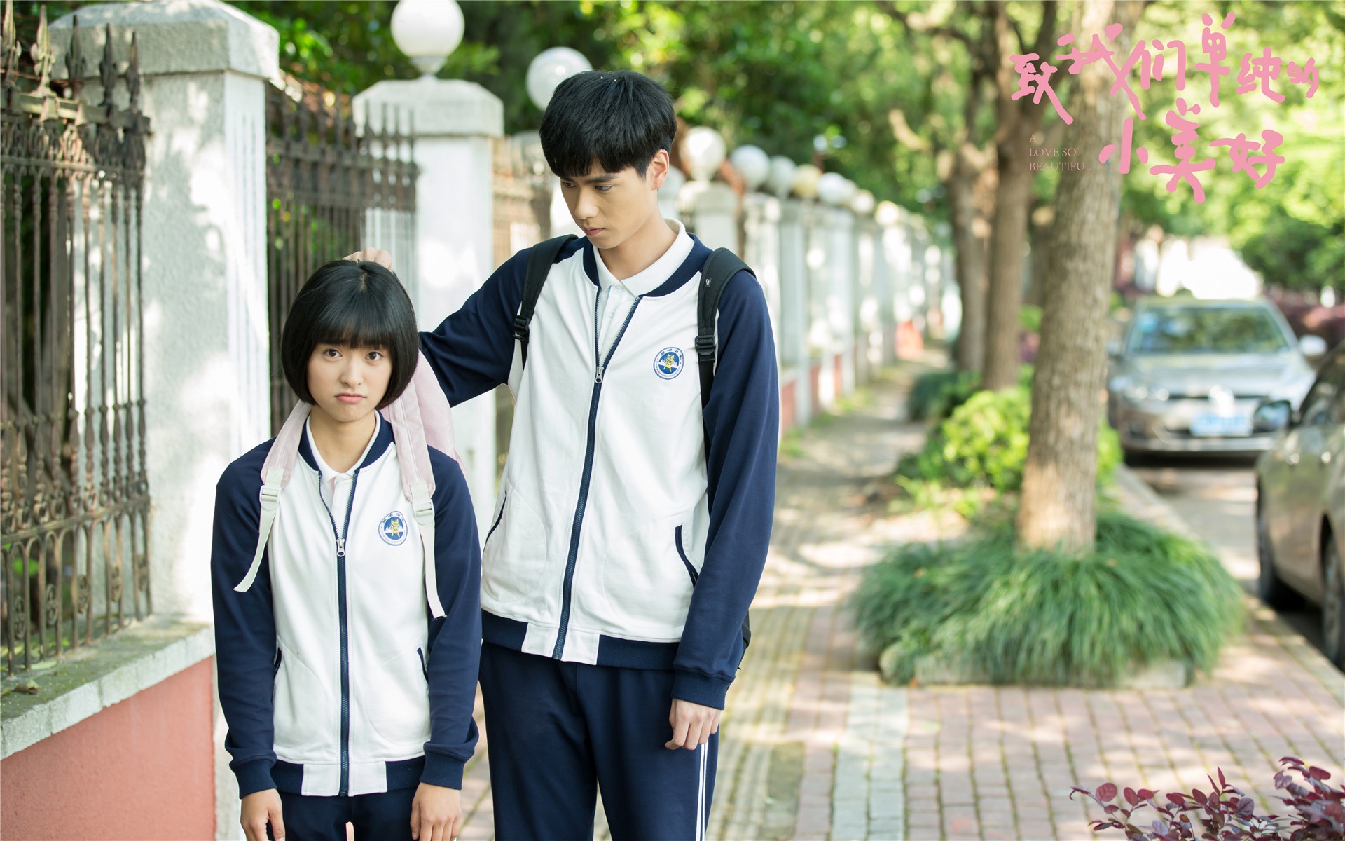 phim hoa ngu duoc yeu thich o viet nam anh 9