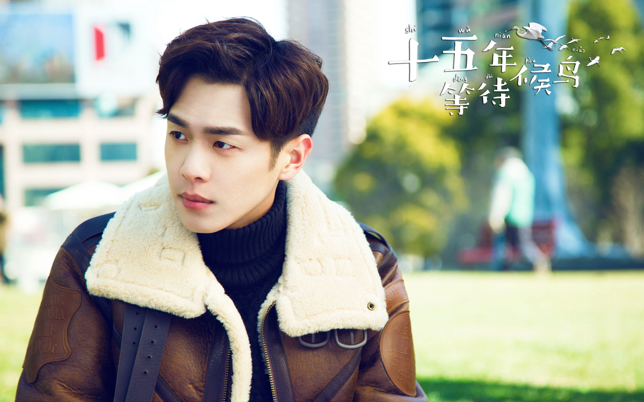 my nam hoa ngu but pha nam 2017 anh 6