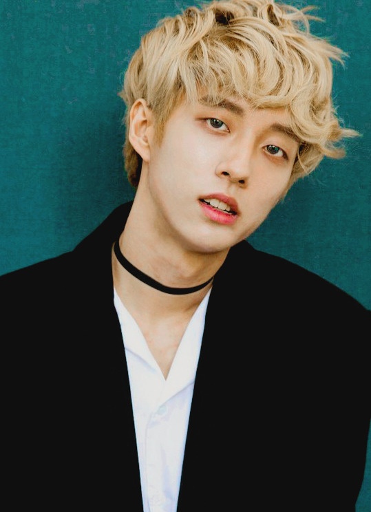 dong tinh o han quoc anh 2