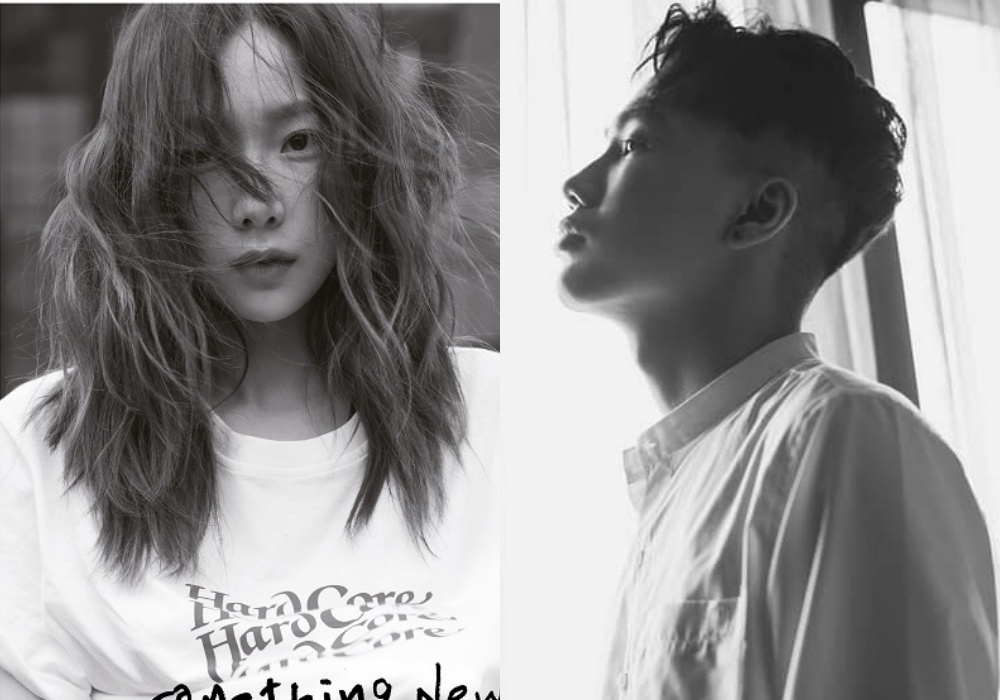 Bi to dao Taeyeon, ca si Viet phan phao: 'Fan ranh roi toi nuc cuoi' hinh anh