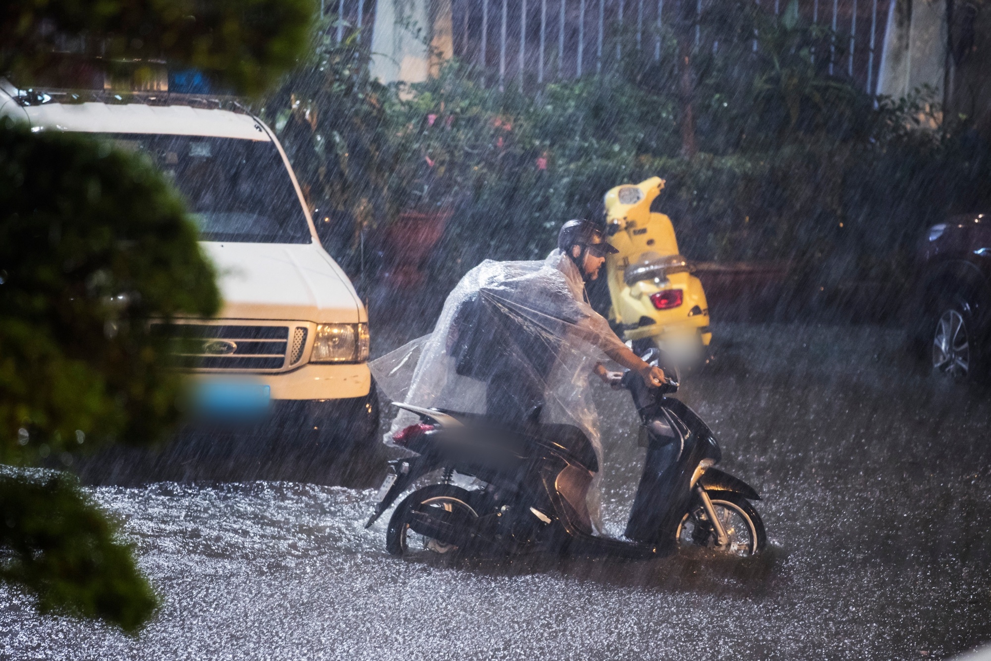 Khan gia loi nuoc toi xem dem nhac anh 2