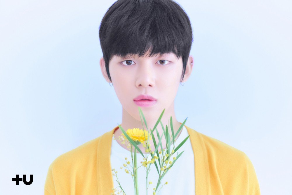 nhóm nhạc đàn em BTS  ảnh 1 nhom nhac dan em BTS anh 1