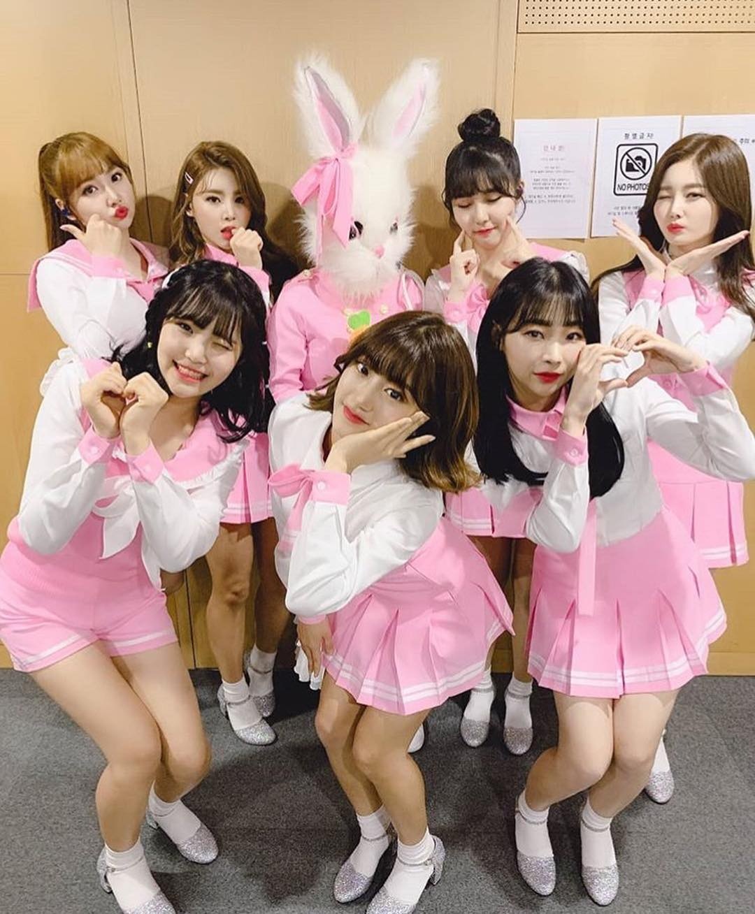 nhóm nhạc bí ẩn Pink Fantasy ảnh 2 nhom nhac bi an Pink Fantasy anh 2