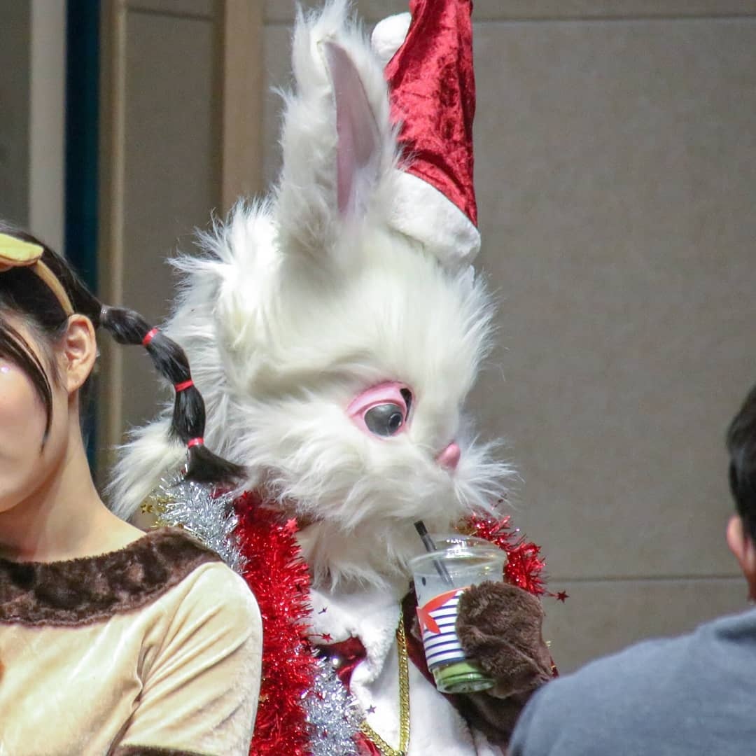 nhóm nhạc bí ẩn Pink Fantasy ảnh 3 nhom nhac bi an Pink Fantasy anh 3