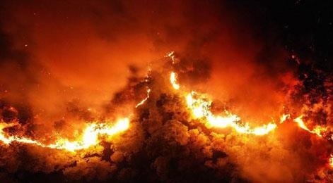 H'Hen Nie, Do My Linh cung sao Viet huong ve vu chay rung o mien Trung hinh anh