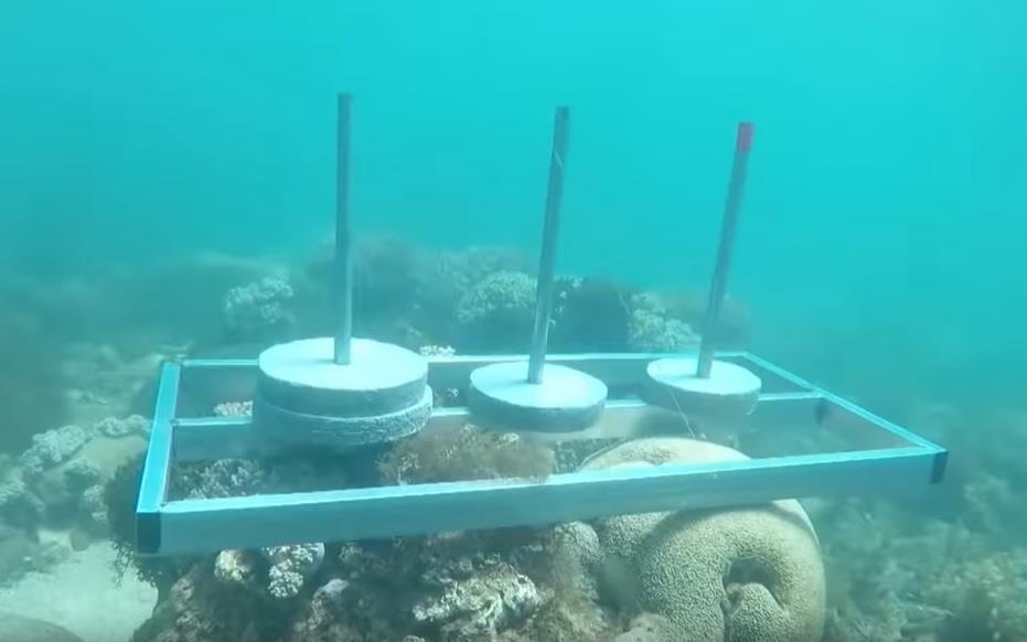 E-kip Cuoc dua ky thu bi chi trich vi dat be tong len ran san ho hinh anh