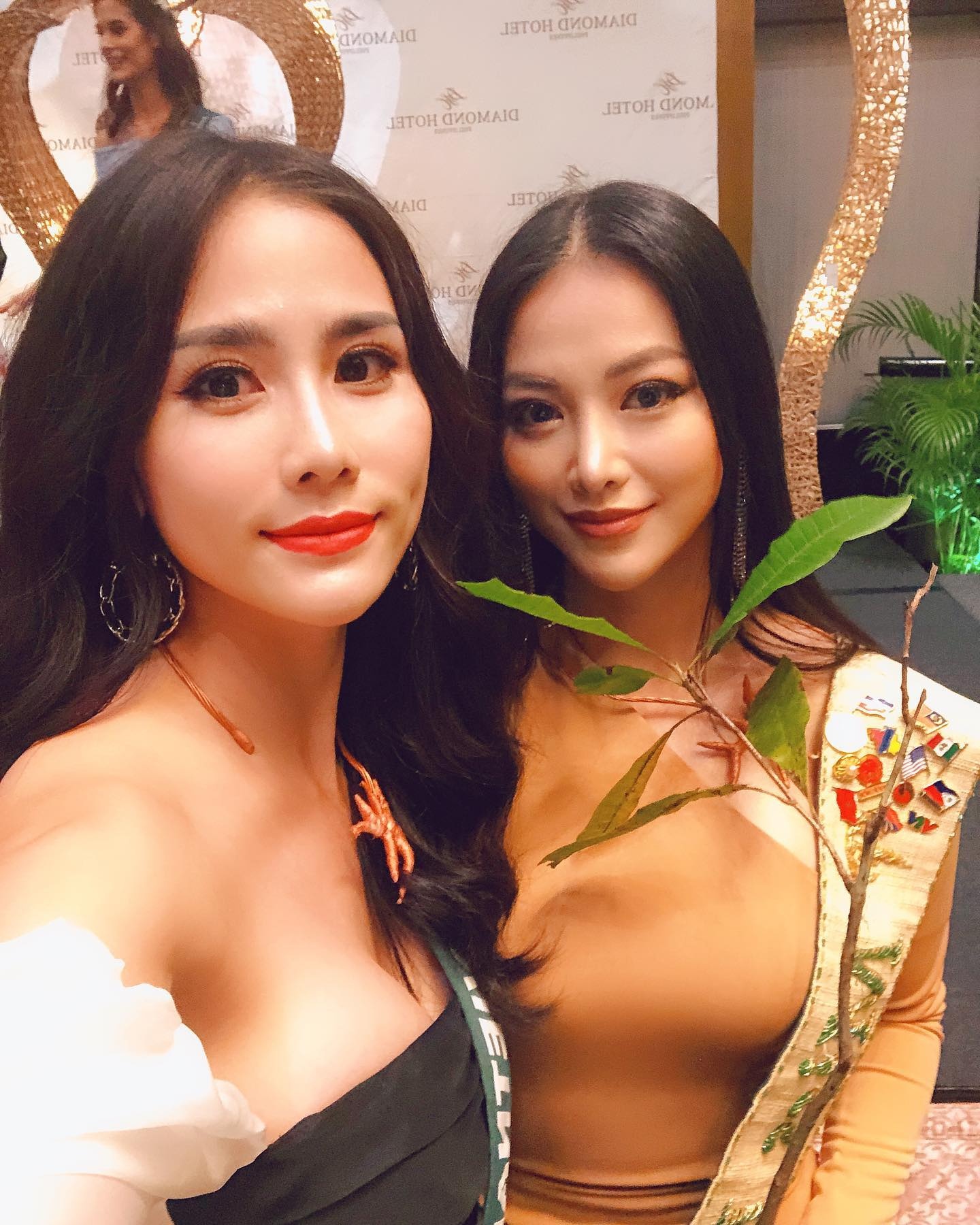 hoang hanh Miss Earth 2019 anh 14