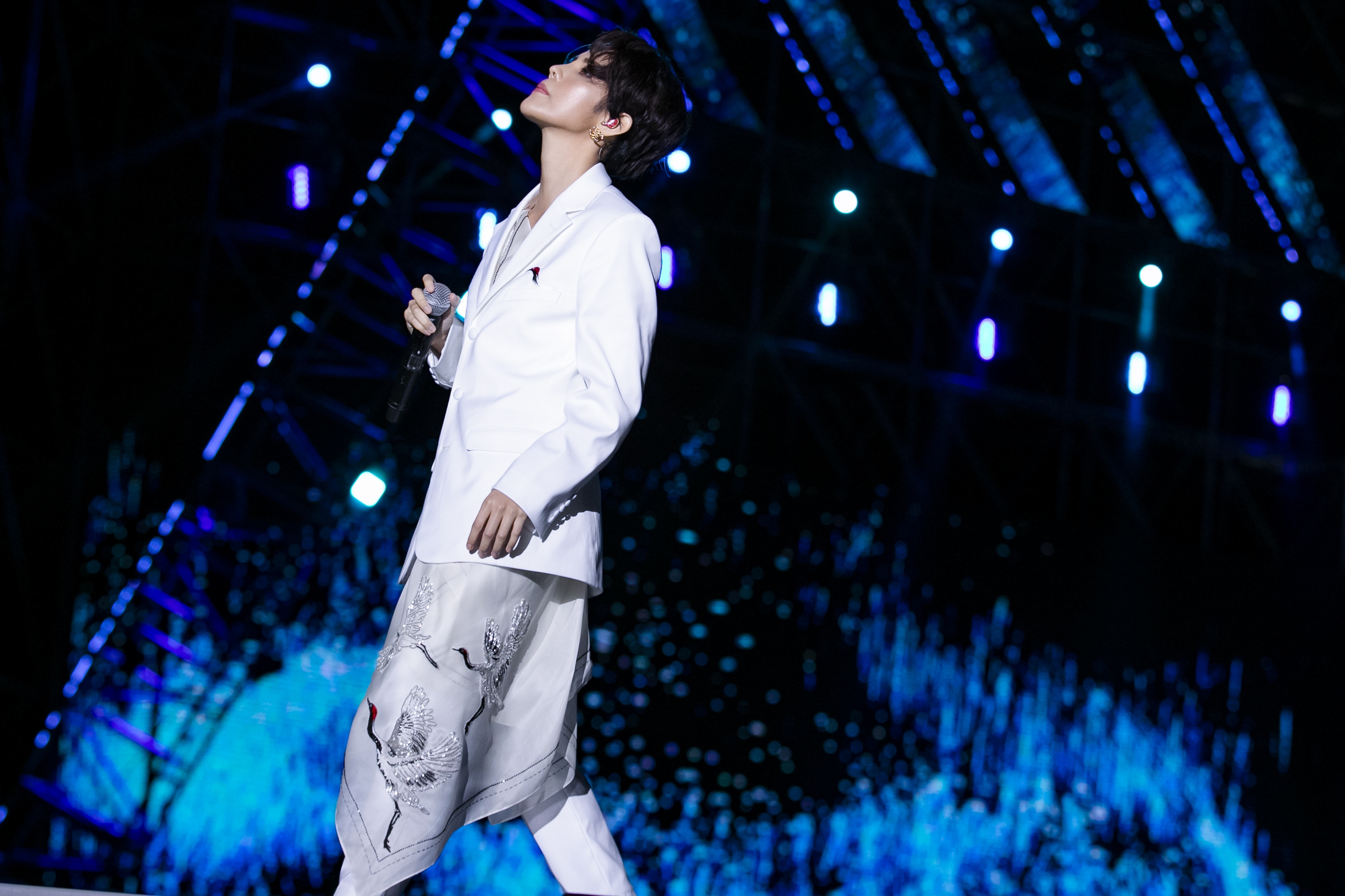 vũ cát tường Asia Song Festival ảnh 2 vu cat tuong Asia Song Festival anh 2
