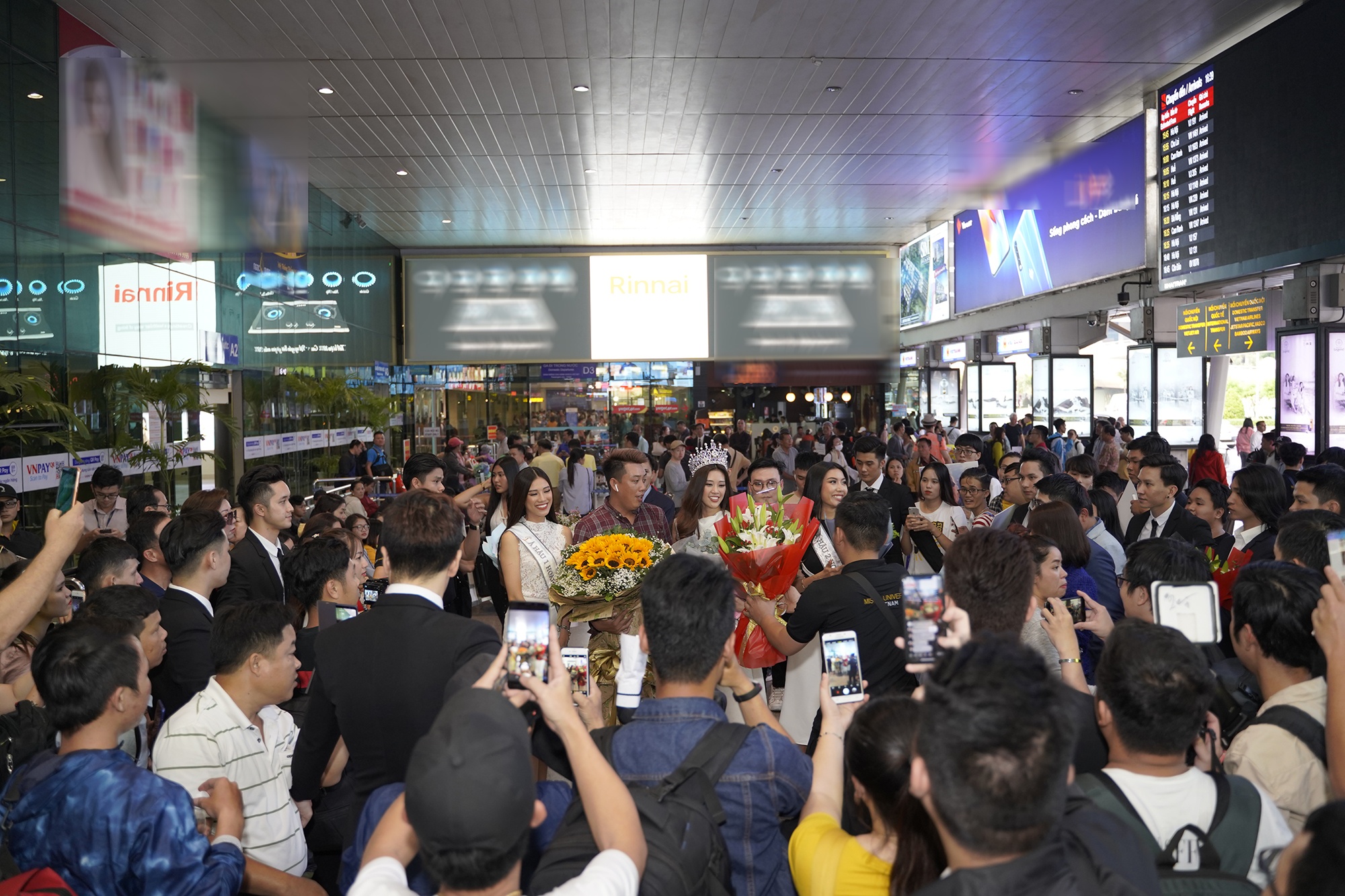 hoa hau khanh van ve TP.HCM anh 3