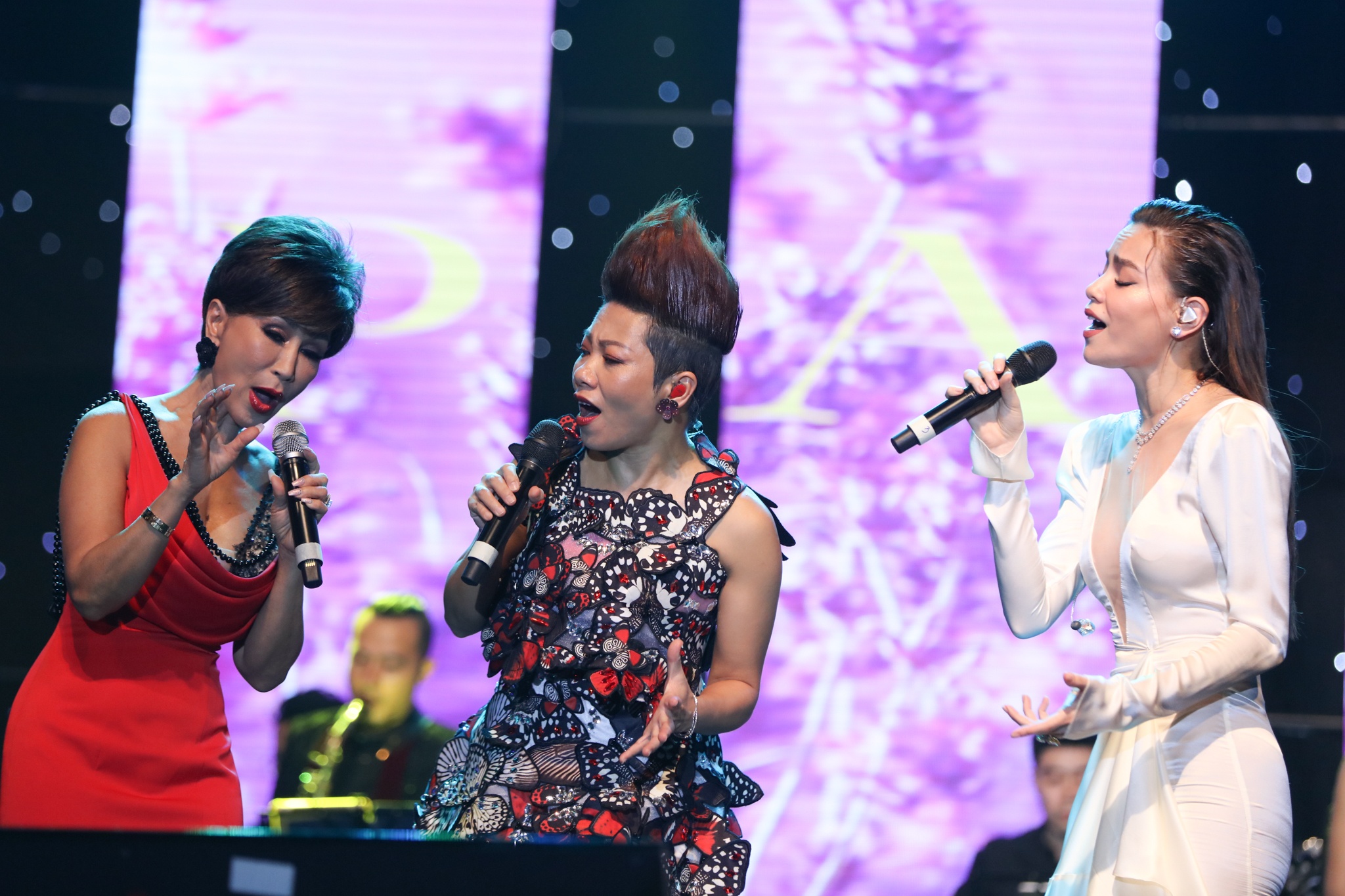 diva han quoc toi viet nam anh 7