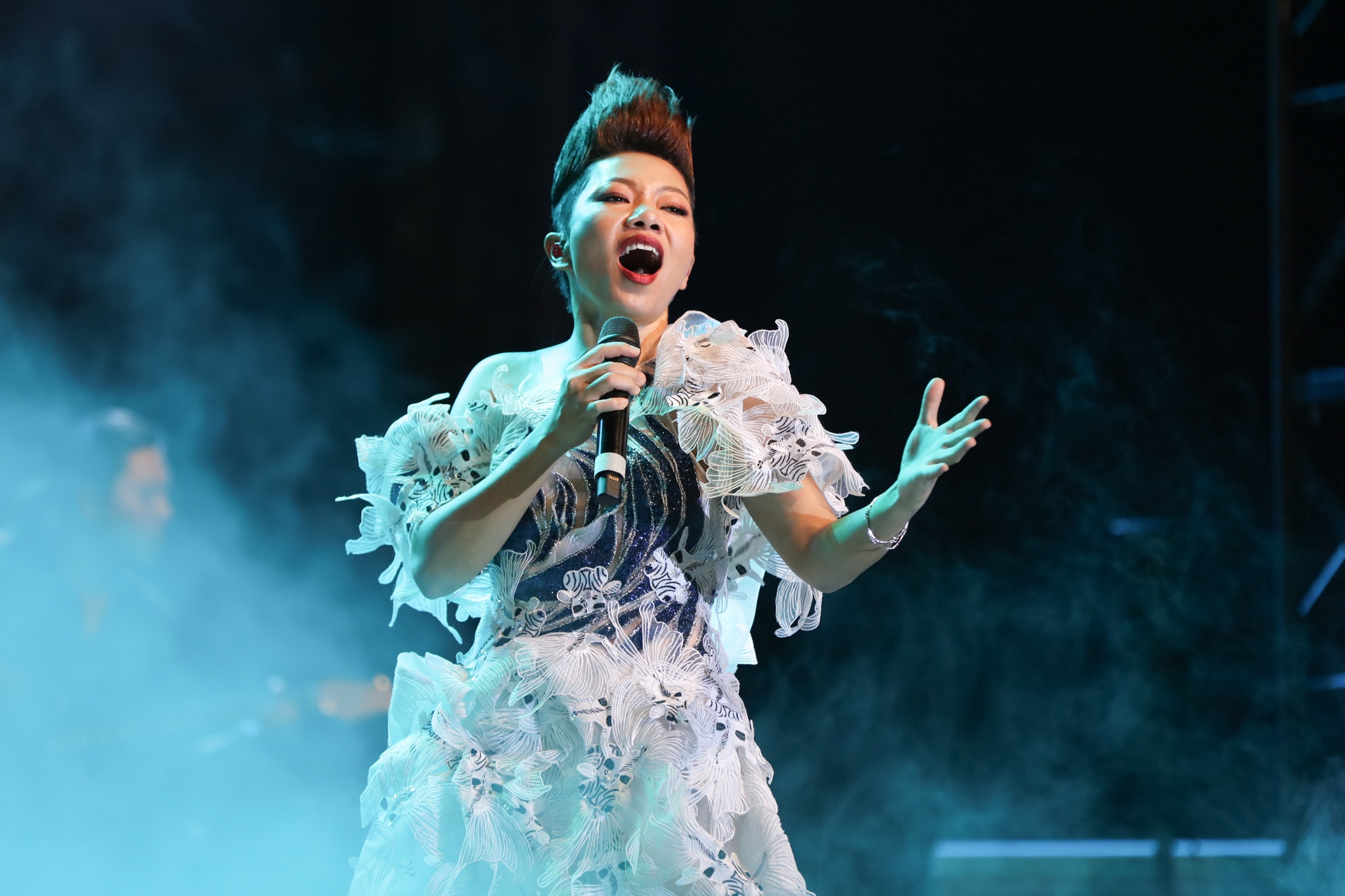 diva han quoc toi viet nam anh 8