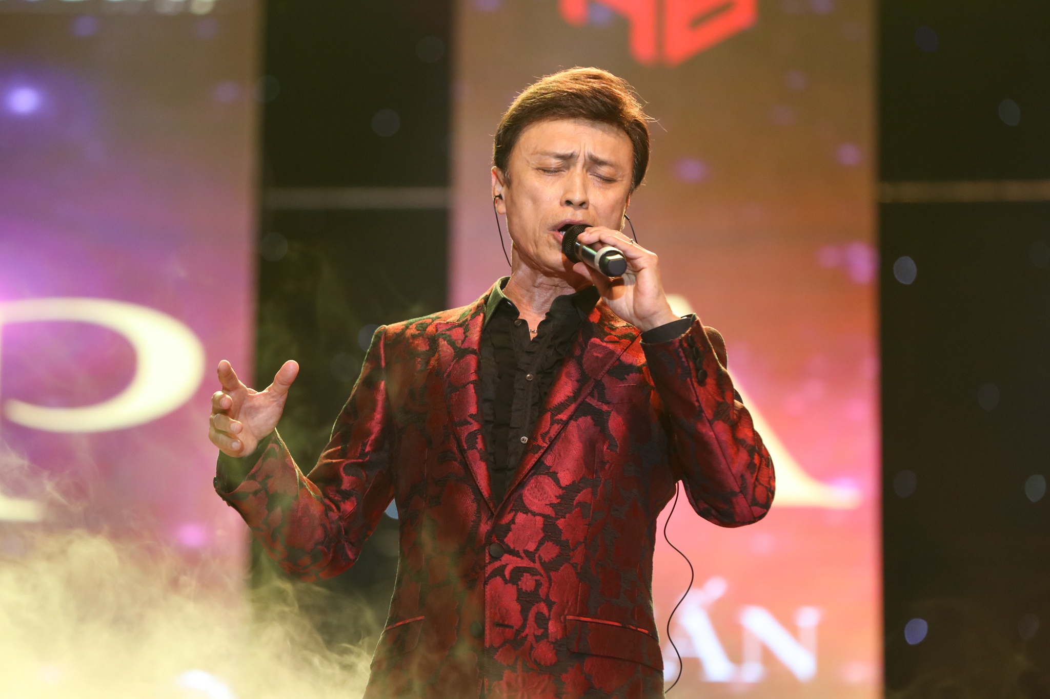 diva han quoc toi viet nam anh 11