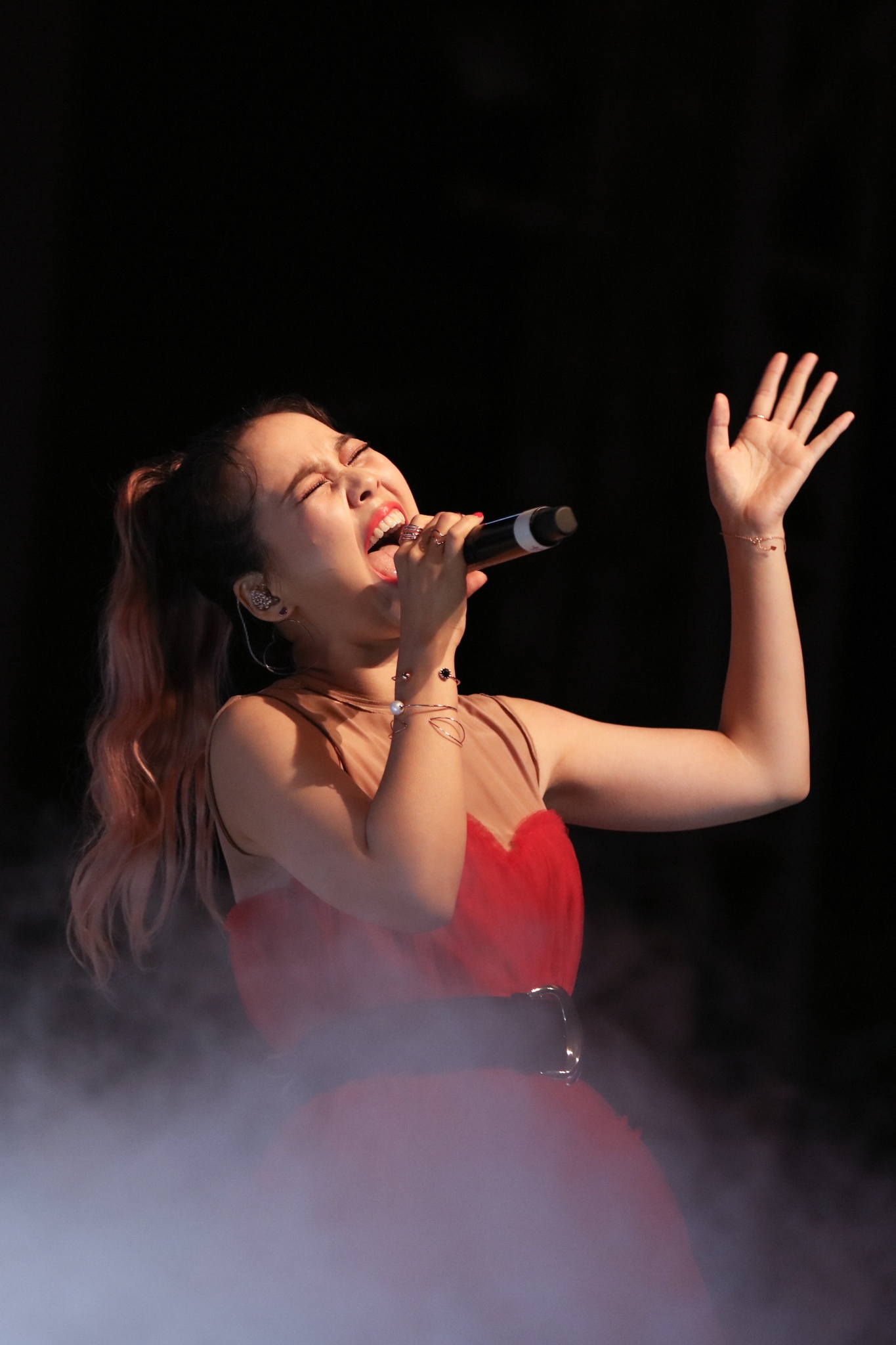 diva han quoc toi viet nam anh 1