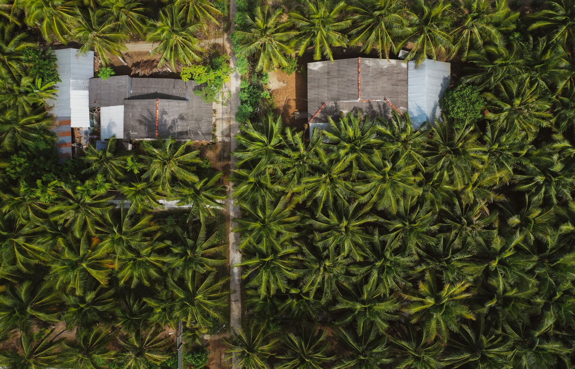 Nha cua Jack o ben tre anh 3