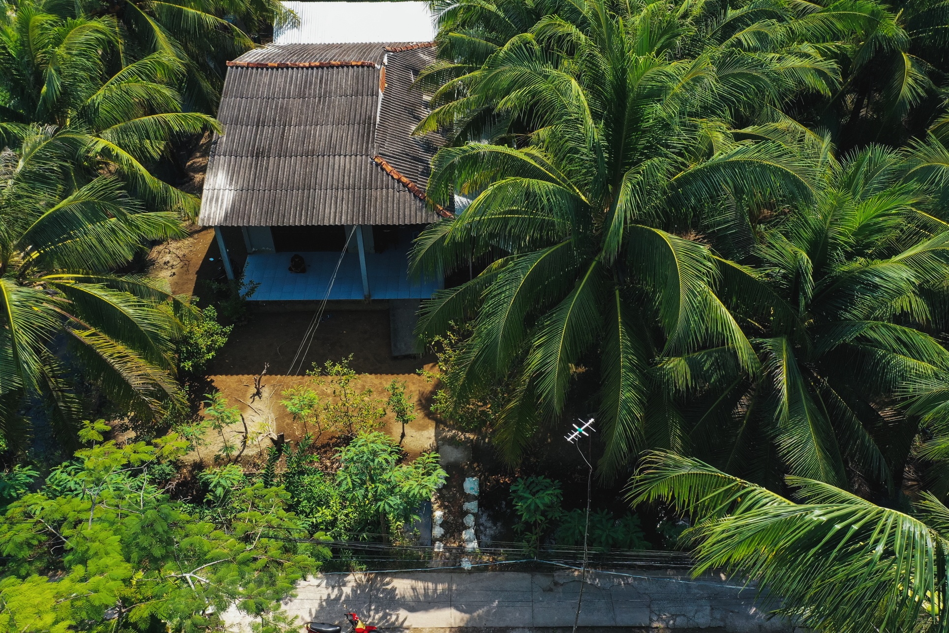 Nha cua Jack o ben tre anh 4