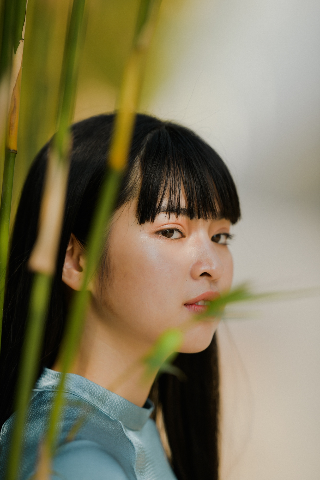 Trà long mắt biếc ảnh 2 Tra long mat biec anh 2