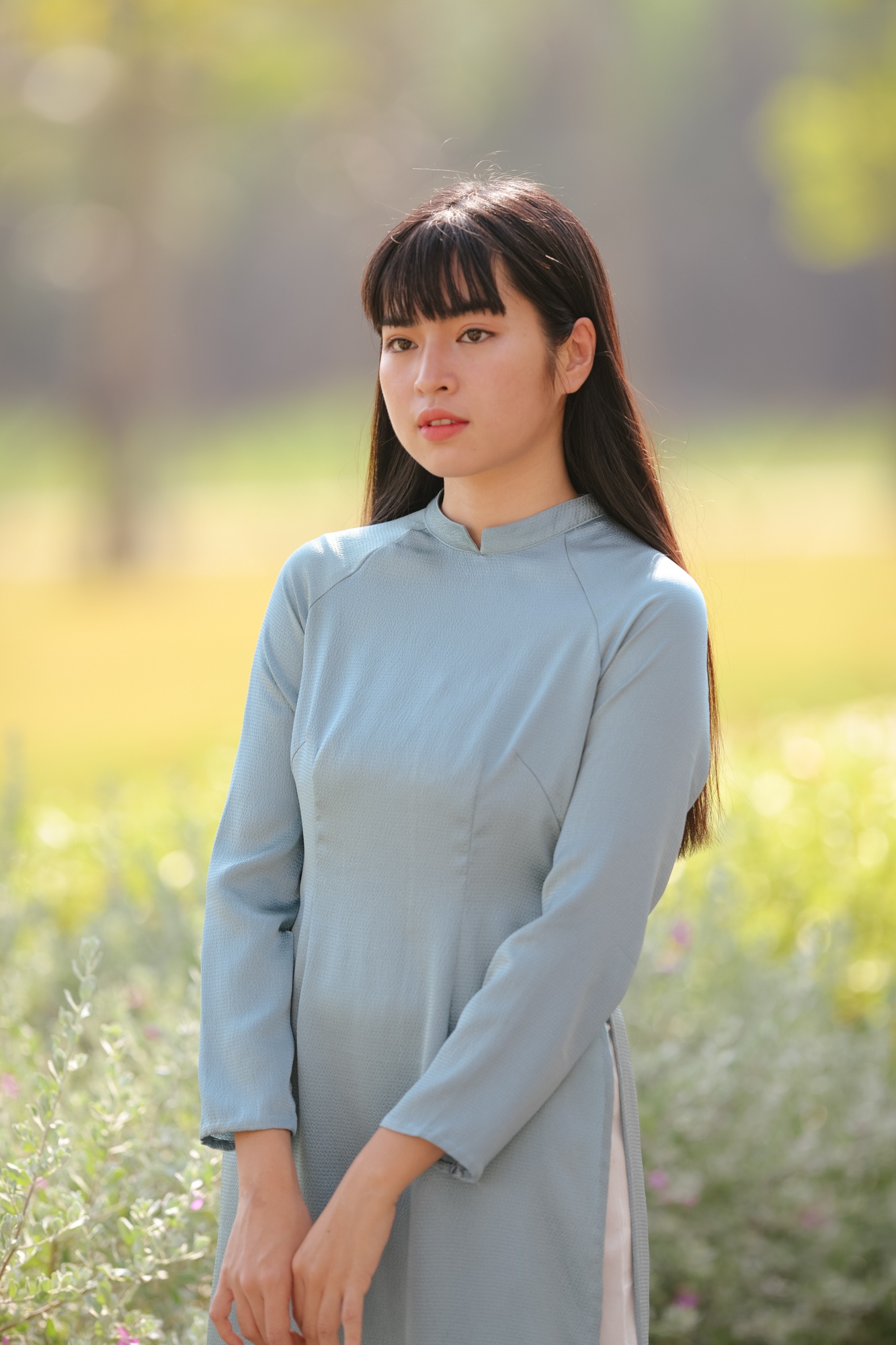 Trà long mắt biếc ảnh 9 Tra long mat biec anh 9