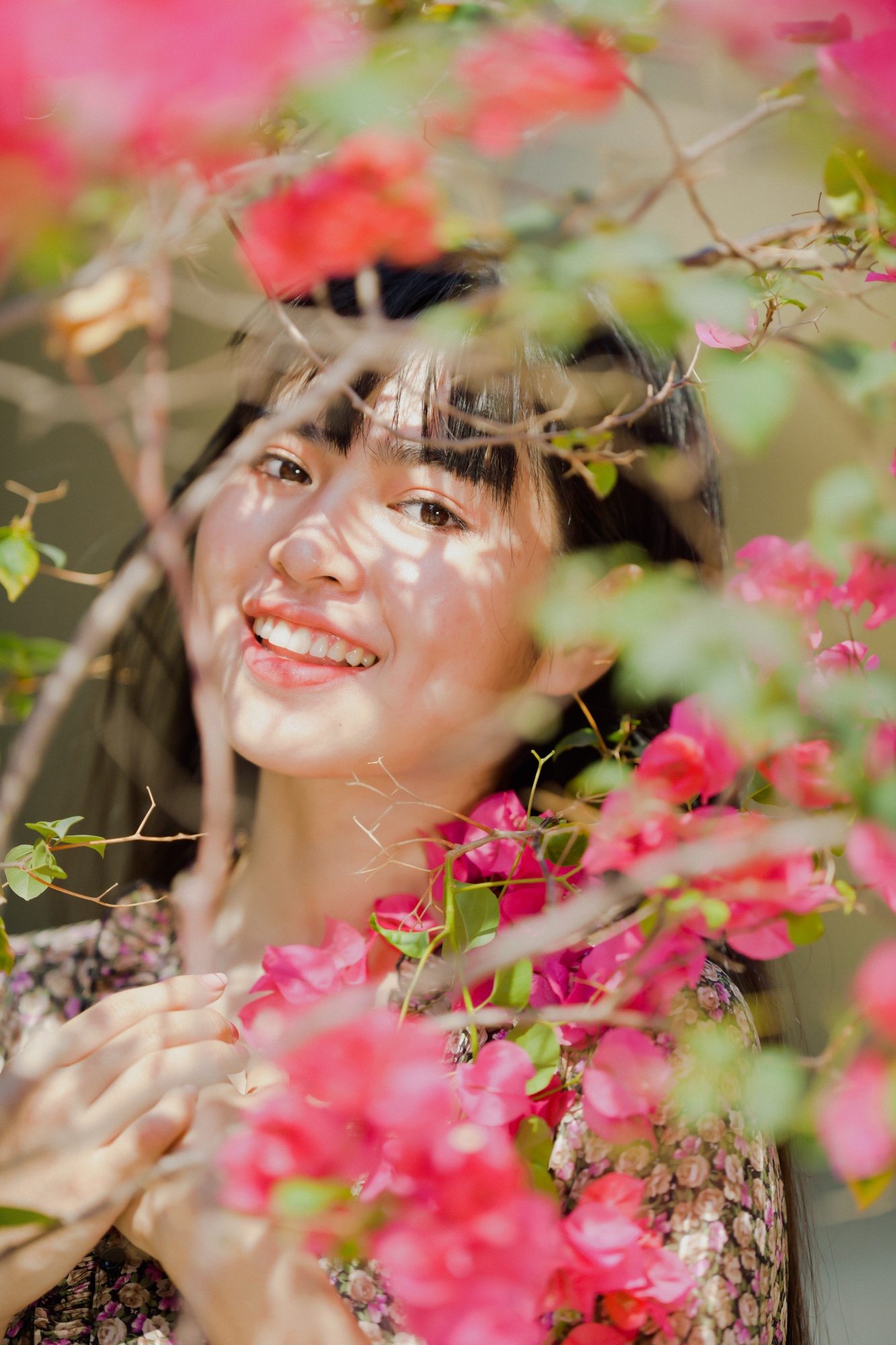 Trà long mắt biếc ảnh 12 Tra long mat biec anh 12