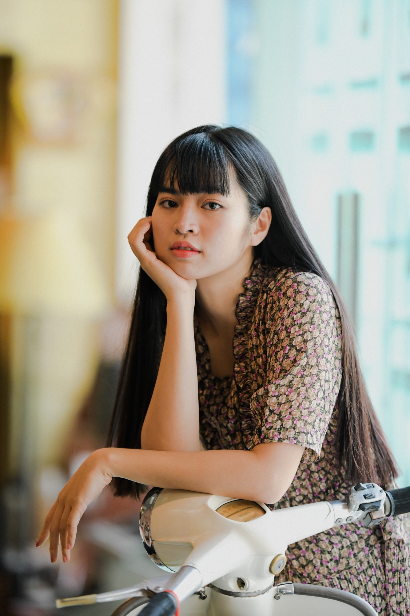 Trà long mắt biếc ảnh 14 Tra long mat biec anh 14