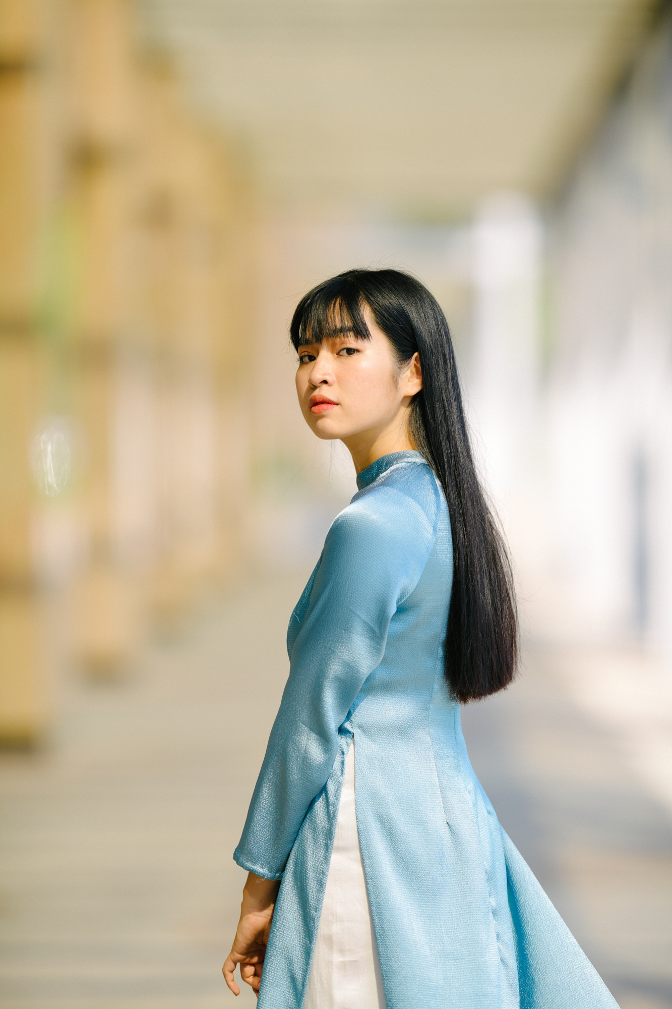 Trà long mắt biếc ảnh 8 Tra long mat biec anh 8